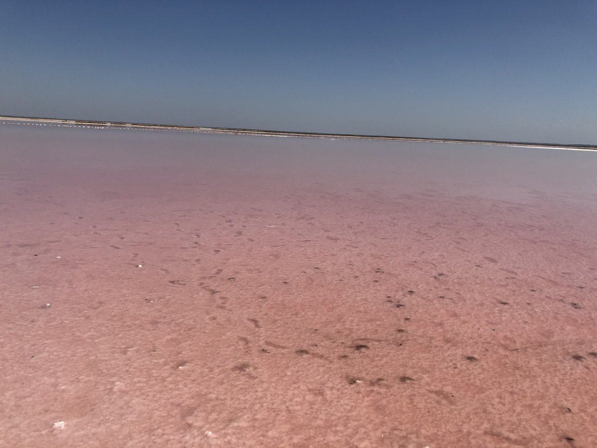 Розовое озеро Анапа