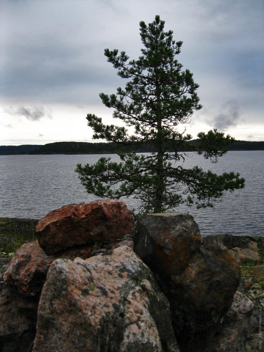 Ладожское озеро Карелия