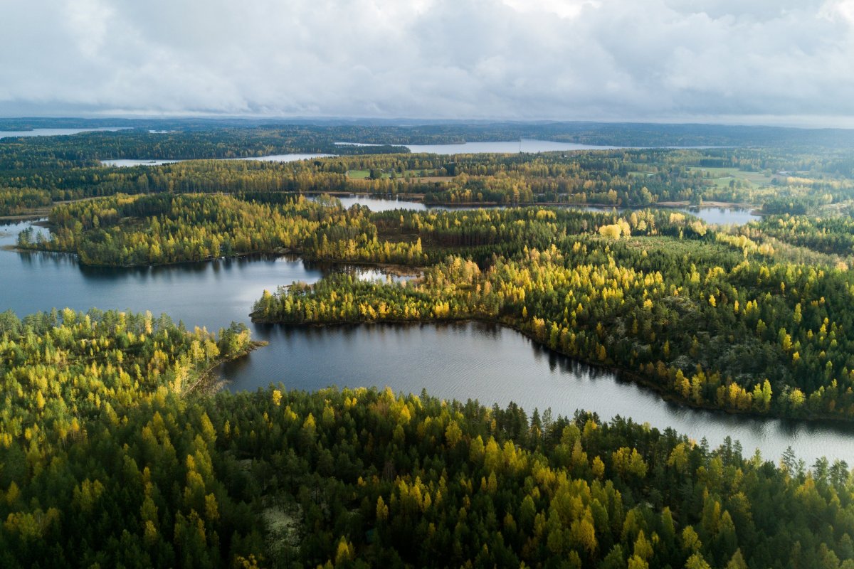 Пиелинен озеро Финляндия