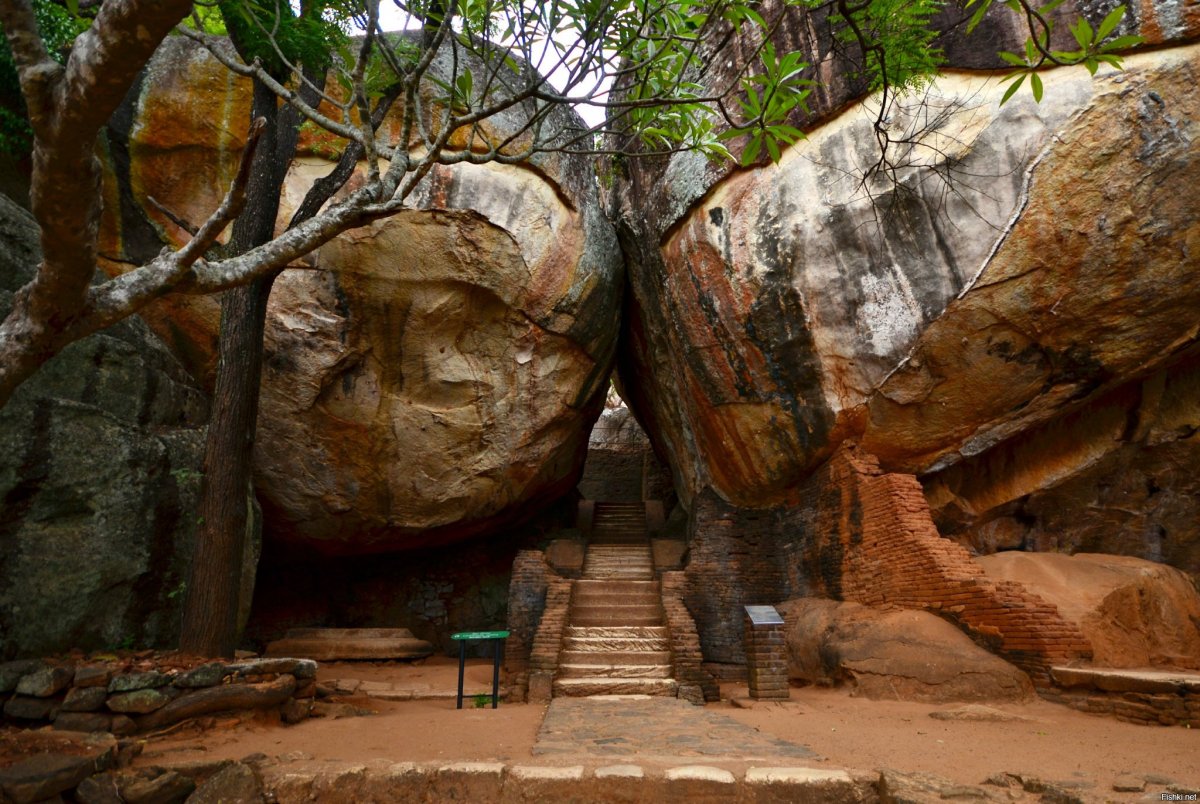 Lion Rock Шри Ланка
