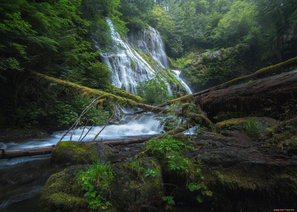Медовые водопады в Карачаево-Черкесии фото
