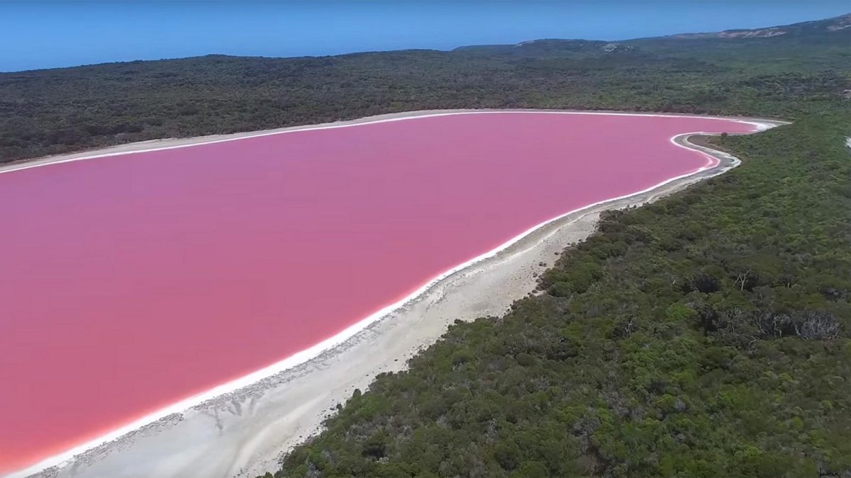 Камарг Франция розовое озеро