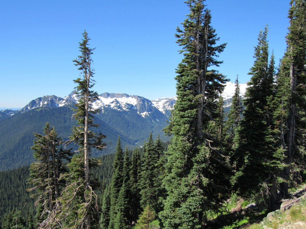 Штат Орегон каскадные горы