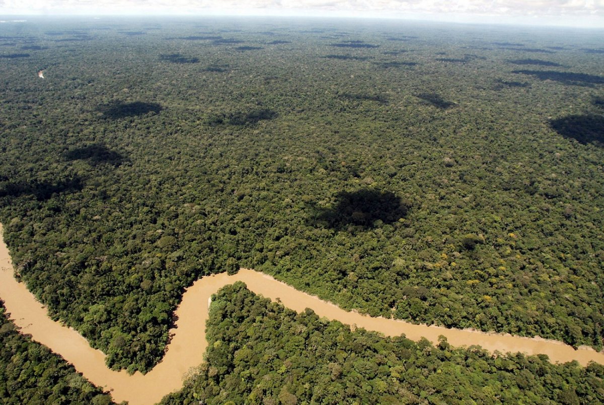 Дождевые леса Амазонии местоположение