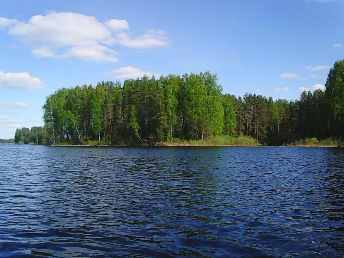 Озеро красное Ленинградская область Выборгский район