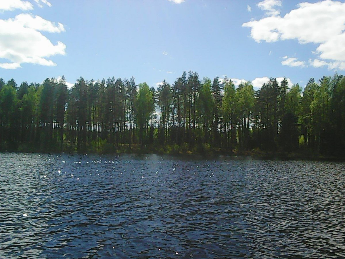 Озеро Каменное Тверская область