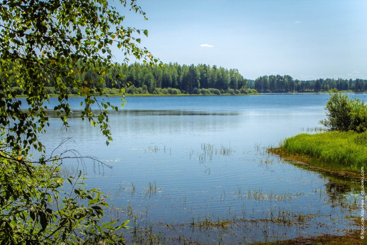 Окуловка озеро Боровно
