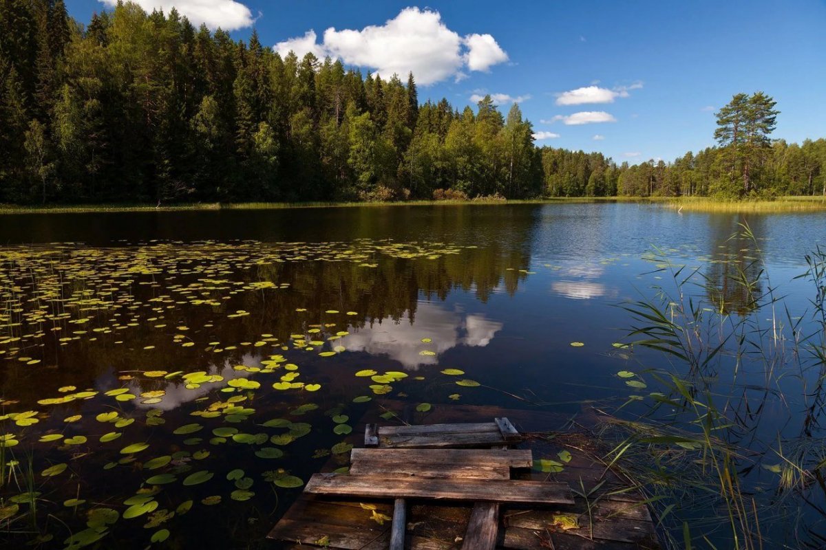 Озеро Горнешно Новгородская область