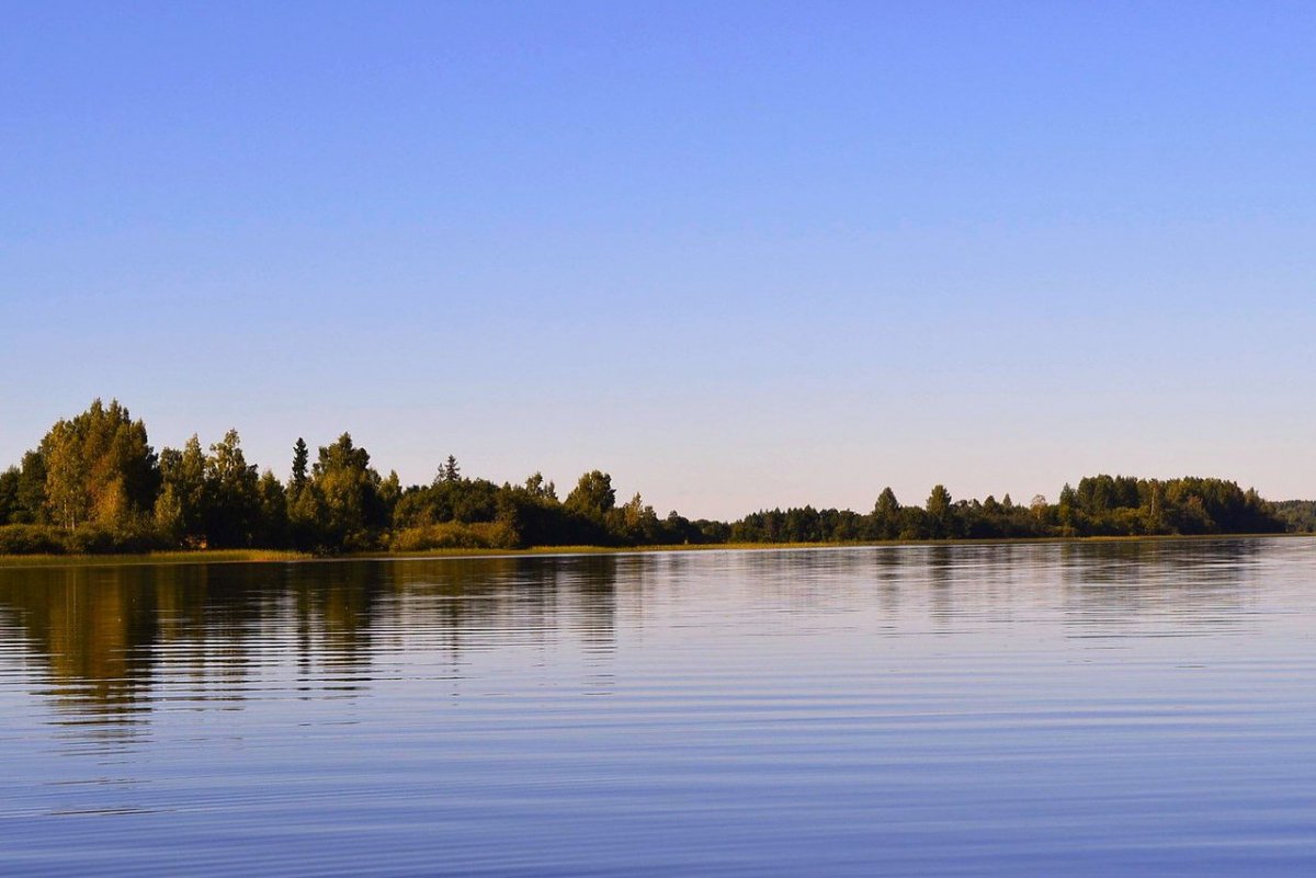 Озеро вельё Новгородская