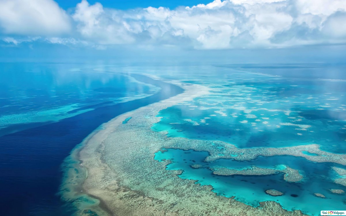 Коралловый остров леди Масгрэйв Австралия