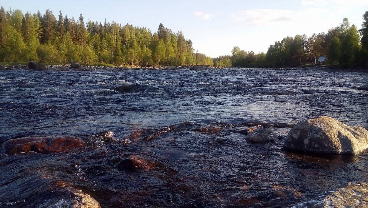 Сегежа (река, впадает в Выгозеро)