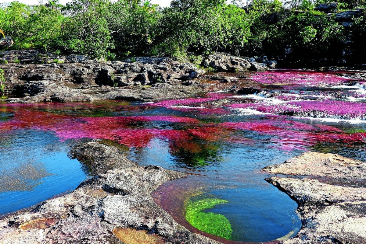 Разноцветная река Каньо-Кристалес