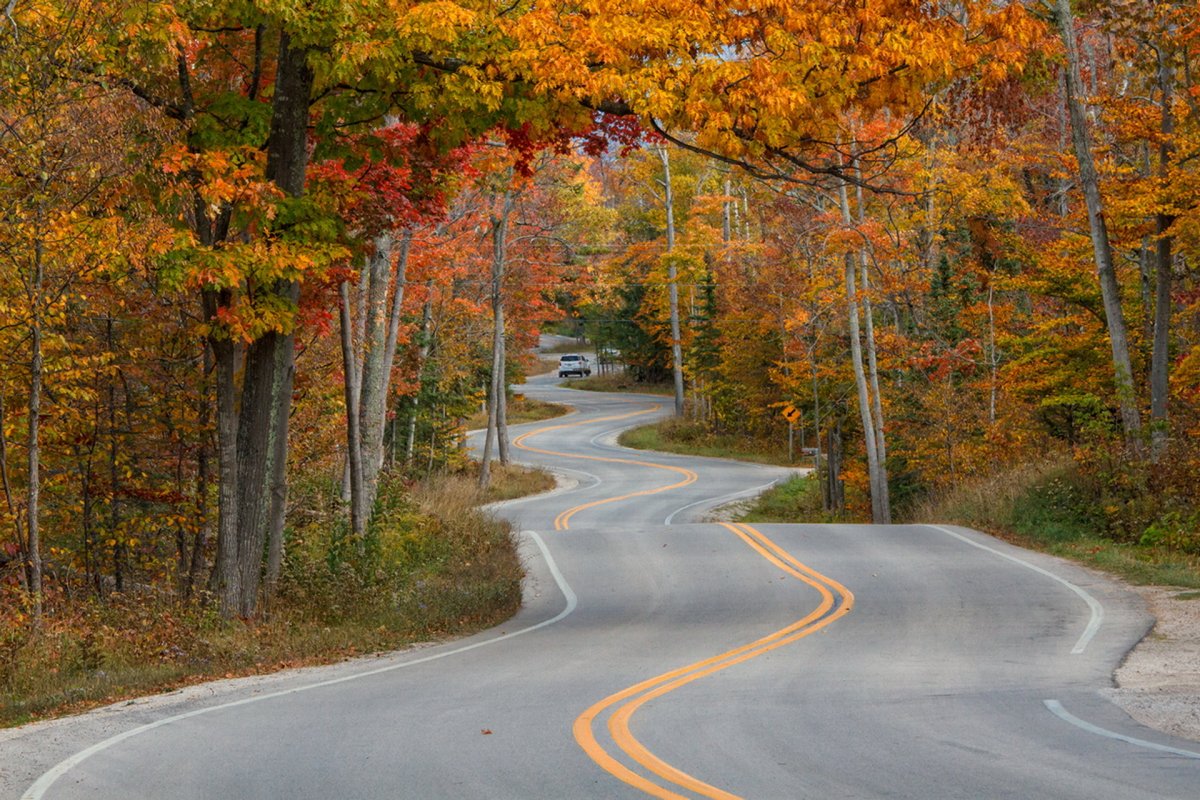 Осенняя дорога в лесу