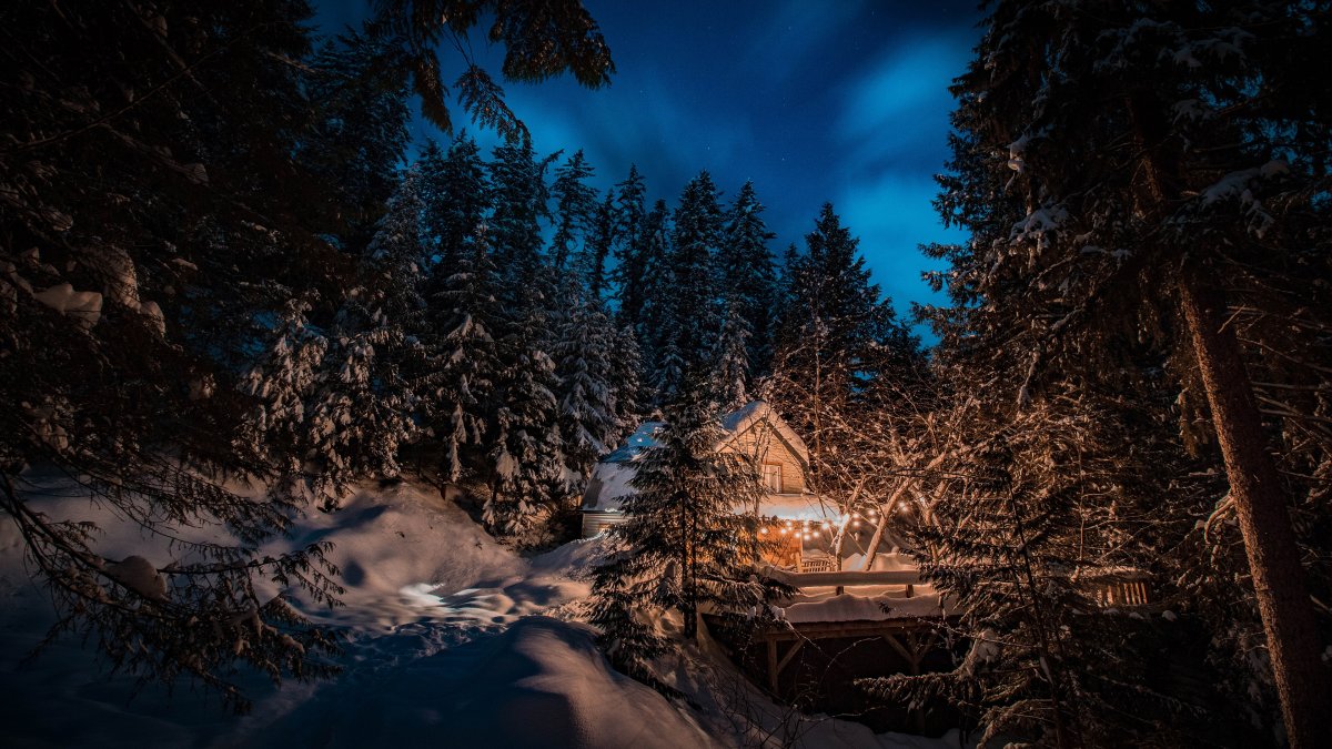 Ночной зимний лес