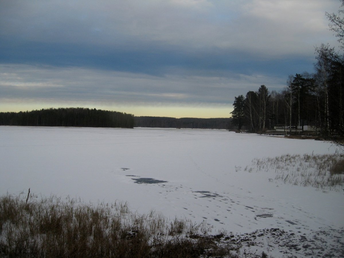 Сарженское озеро Ленинградская область