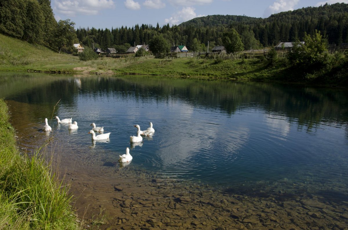 Озеро Сарва Нуримановский район