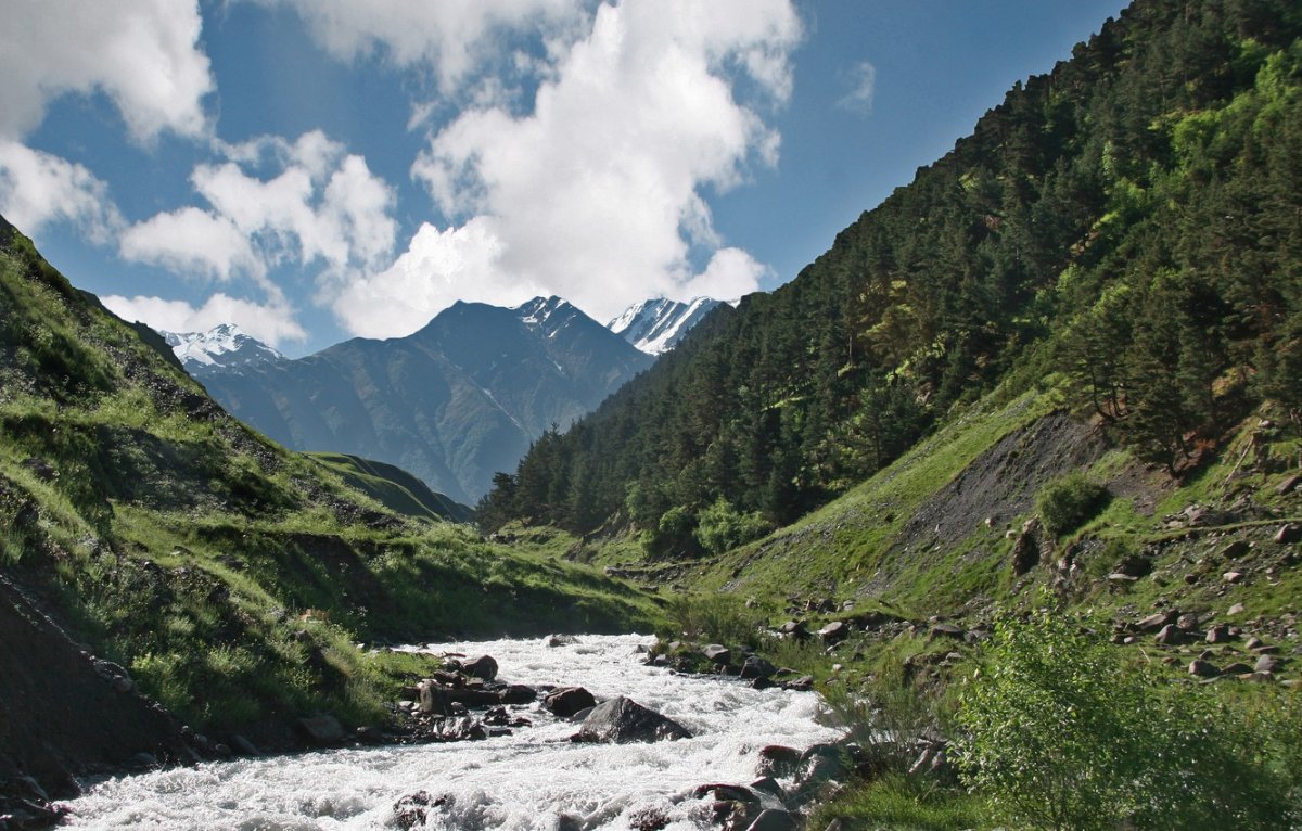 Река Сунжа Ингушетия