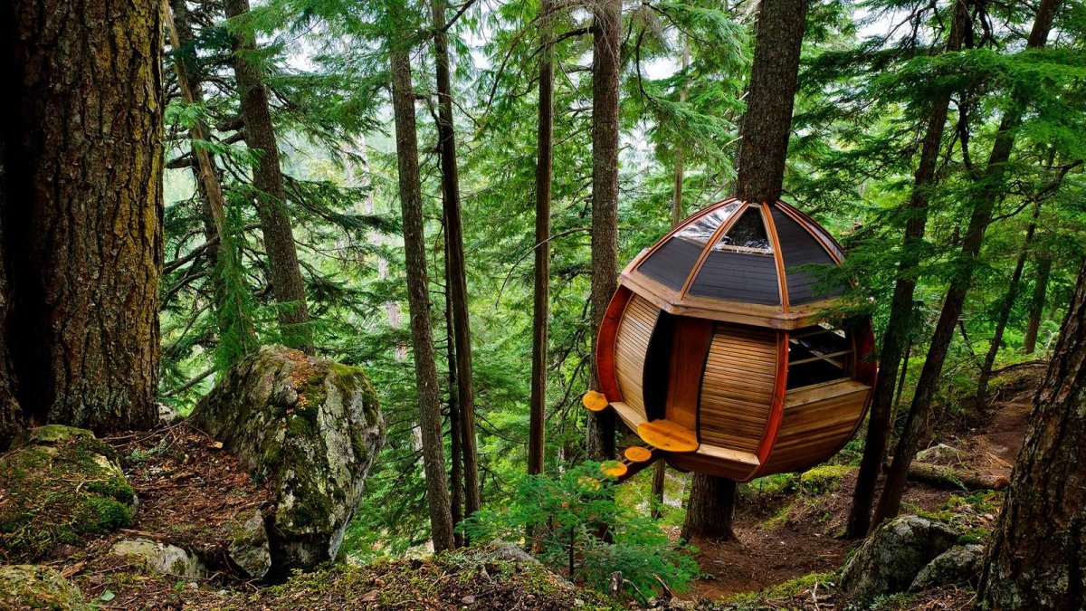 Необычный домик в лесу