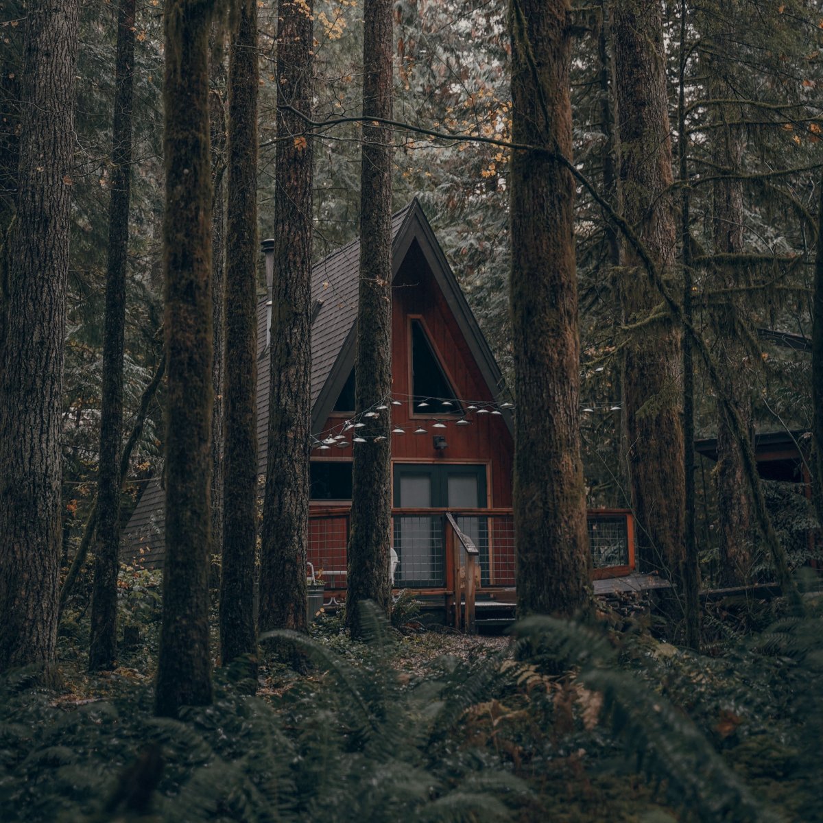 Блэк Хиллз дом в лесу