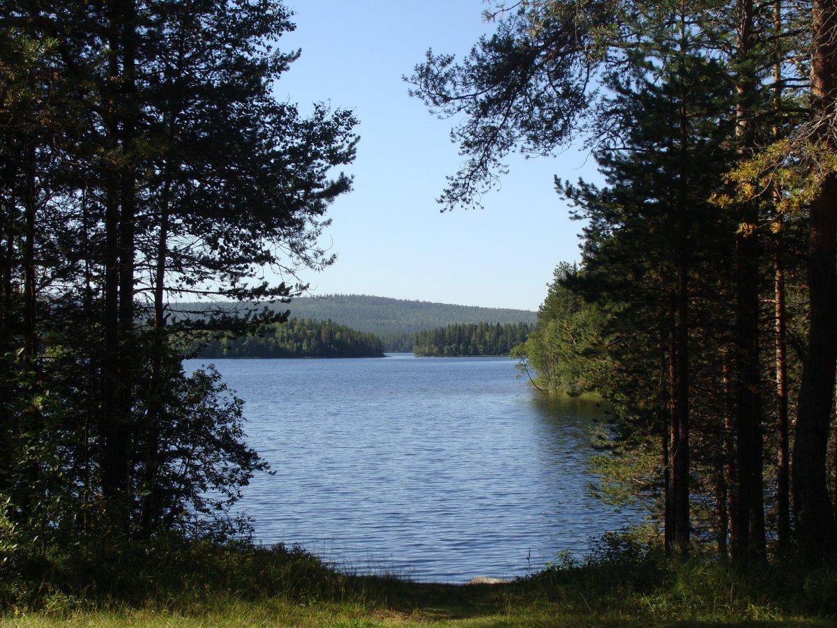 Карелия озеро Вуориярви