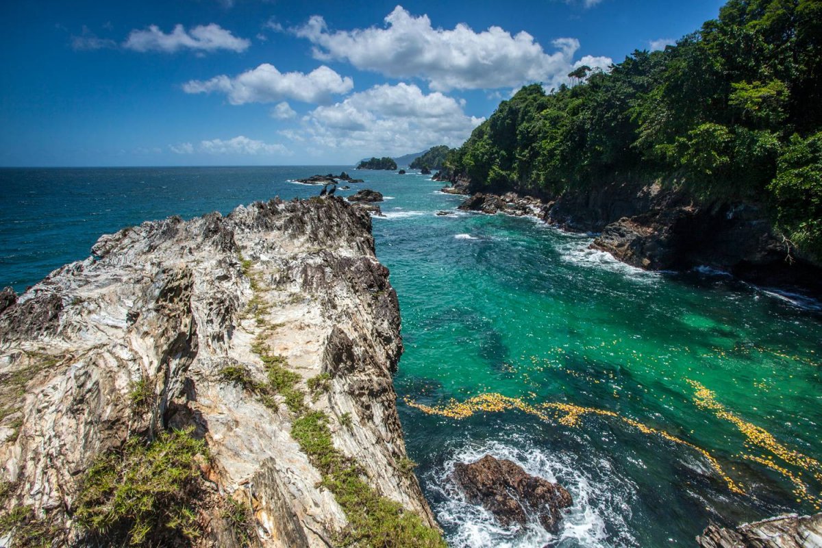 Природа острова Тринидад