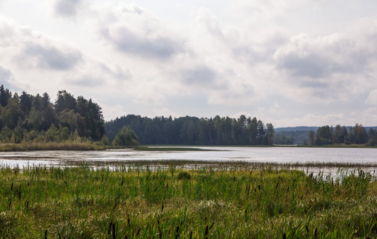 Озеро Лавиярви Карелия