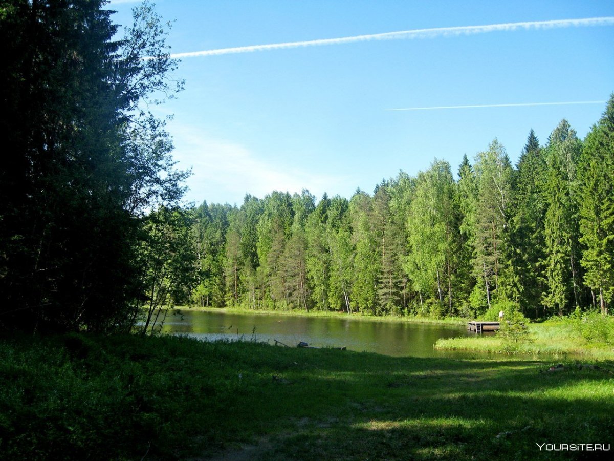 Озеро Нестеровское Тосненский