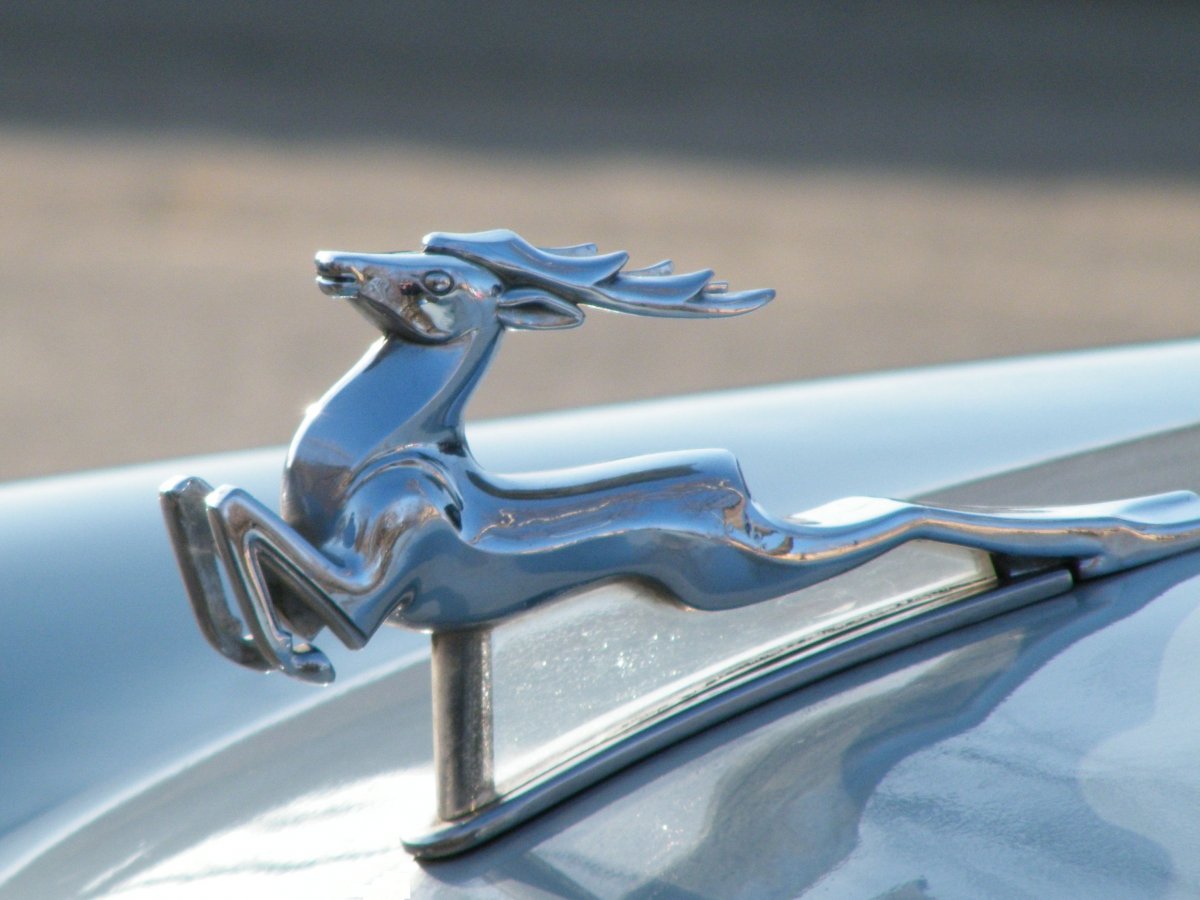 Форд Мустанг эмблема