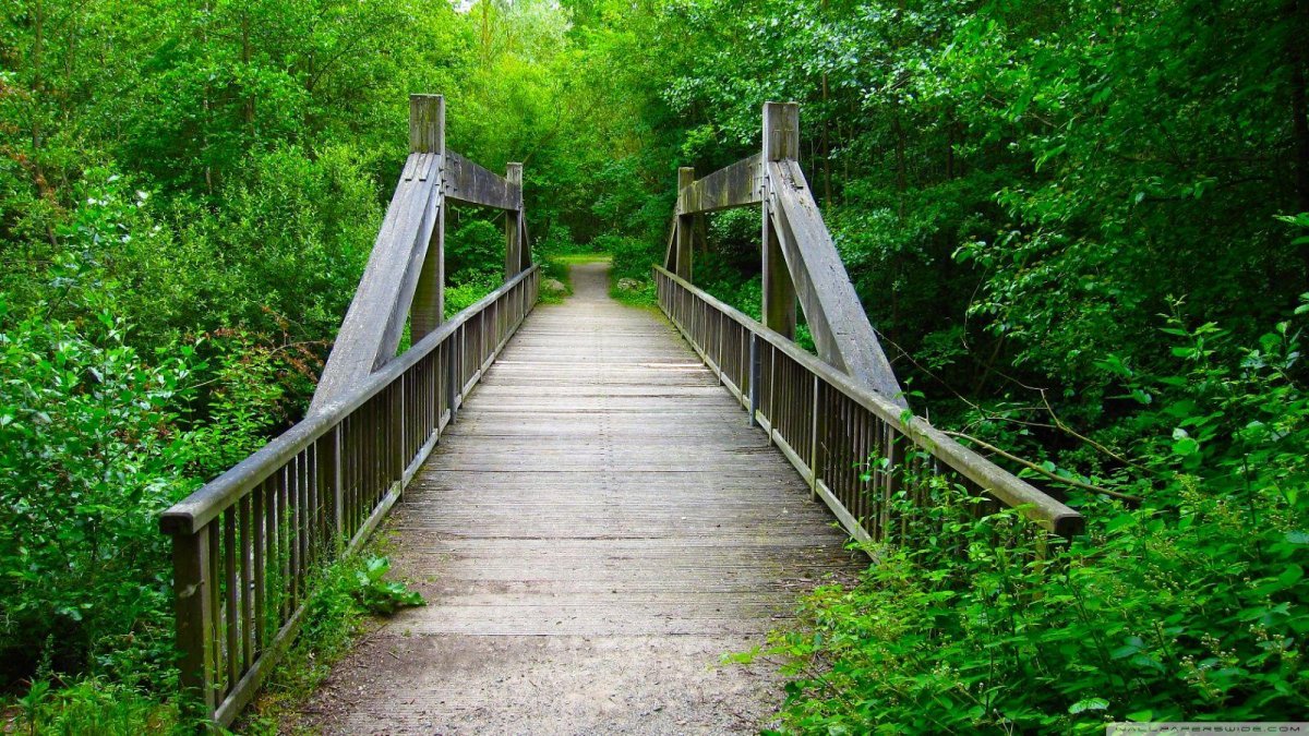 Заброшенный деревянный мост