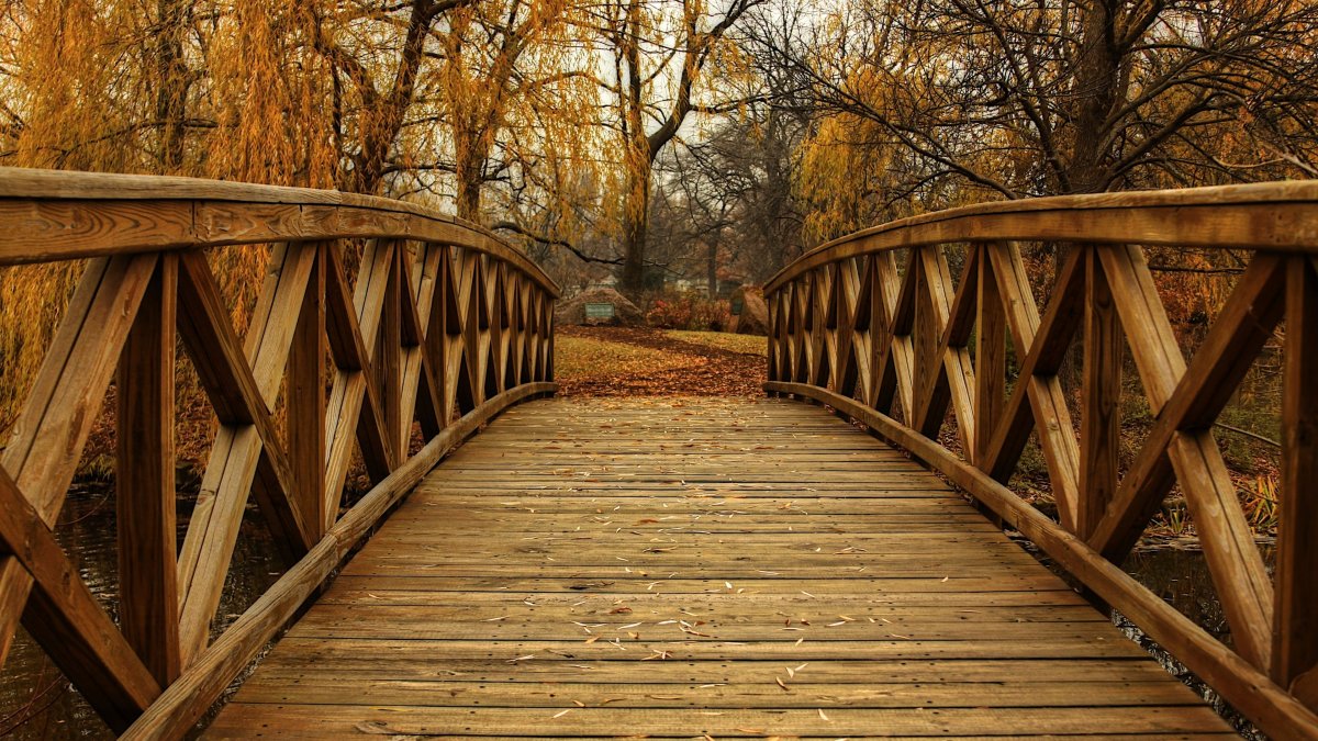 Деревянный мост