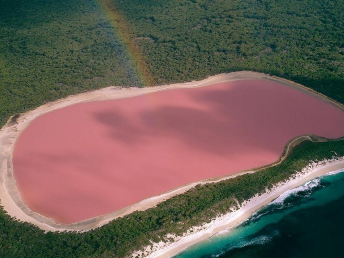 Розовое озеро Хиллер Австралия