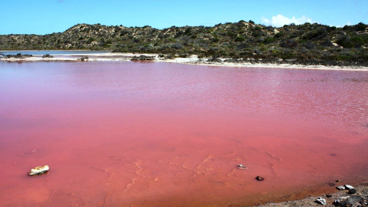 Ретба — розовое озеро в Сенегале.