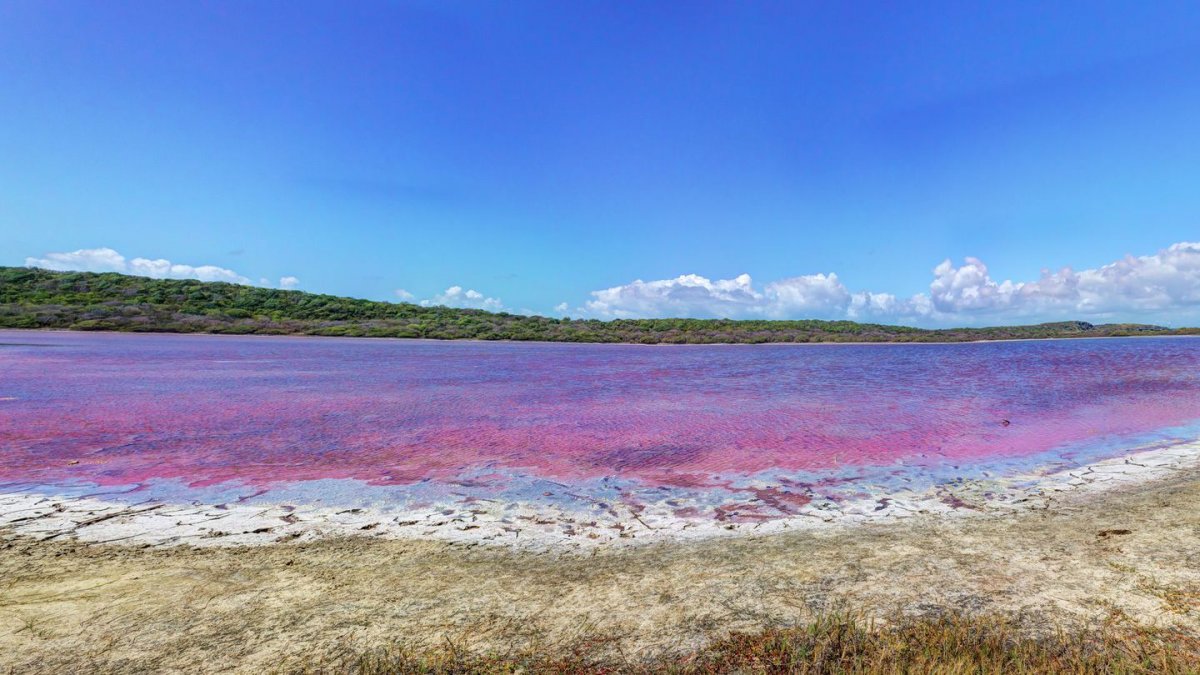 Рио Лагартос розовое озеро
