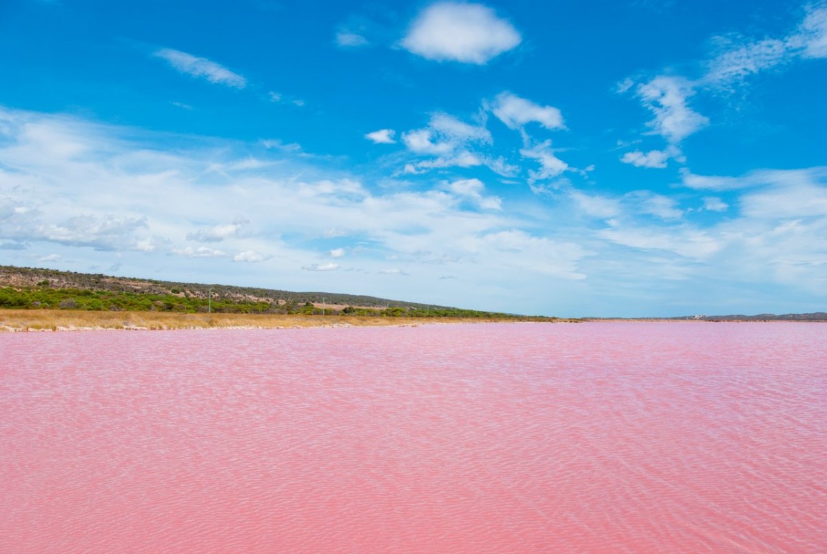 Розовое озеро в Испании Торревьеха