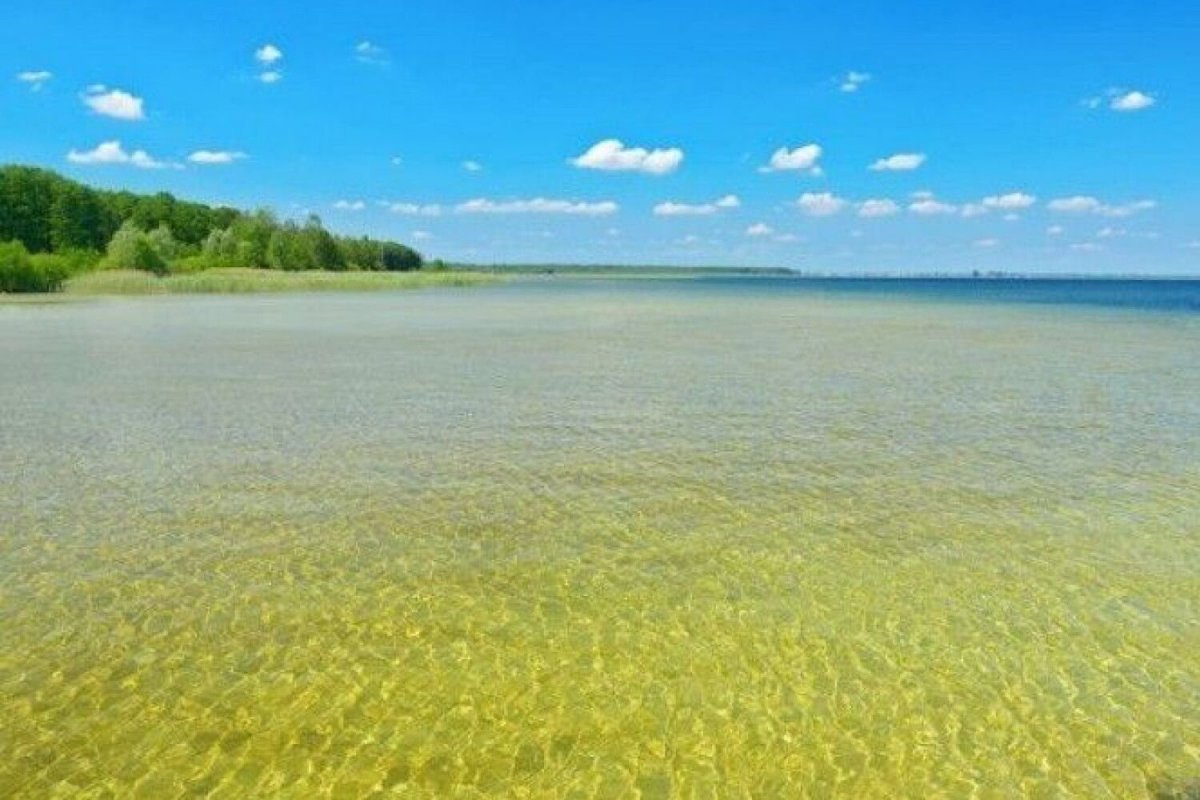 Свитязь озеро Белоруссия