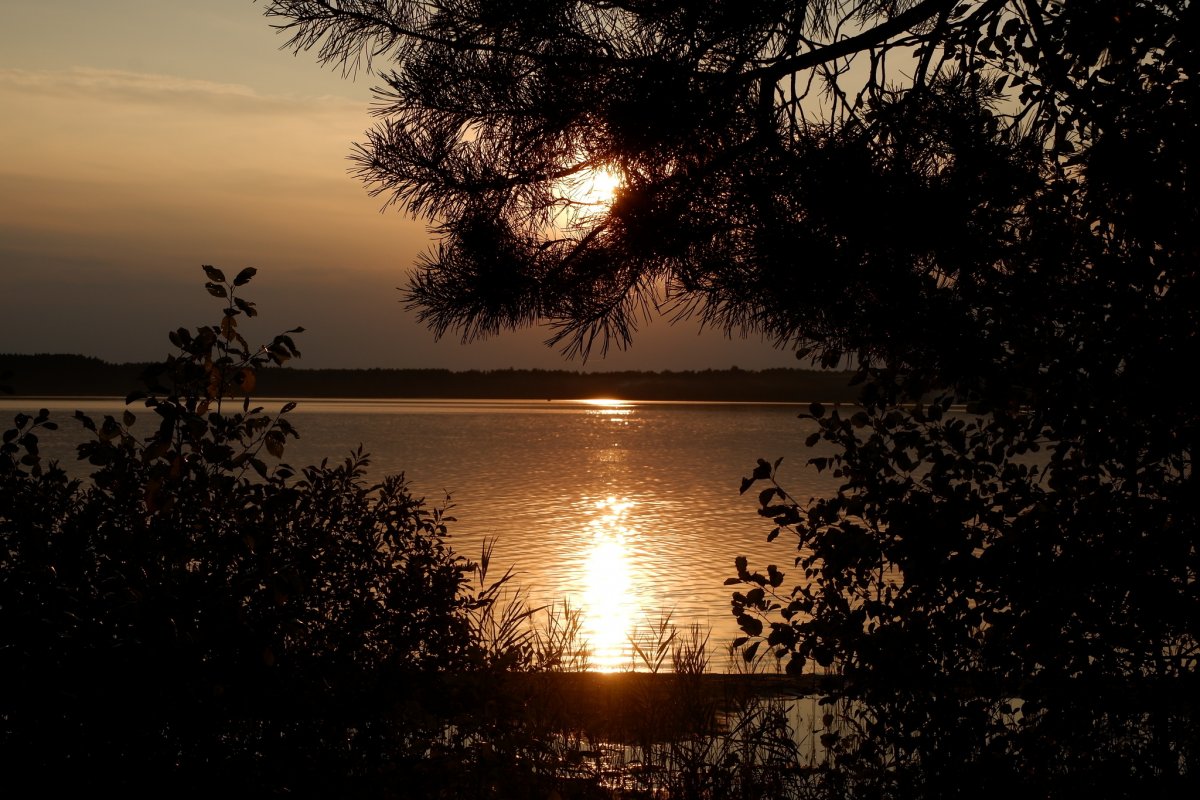 Гродно озеро Свитязь