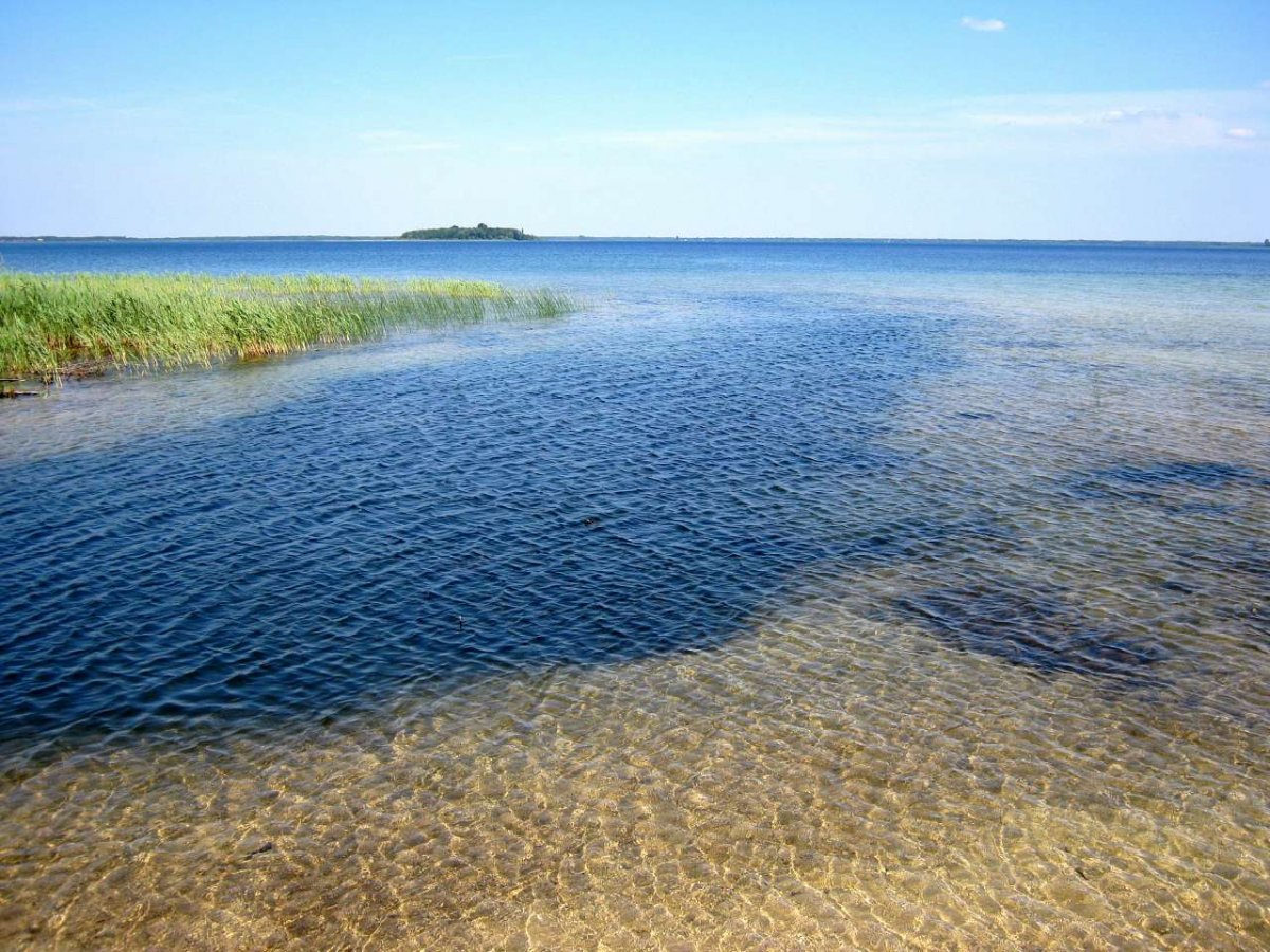 Озеро Свитязь Шацкие озёра
