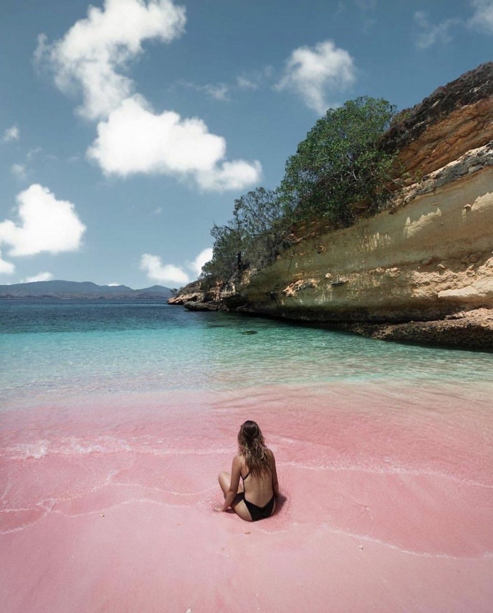 Остров Комодо розовый пляж черепаха