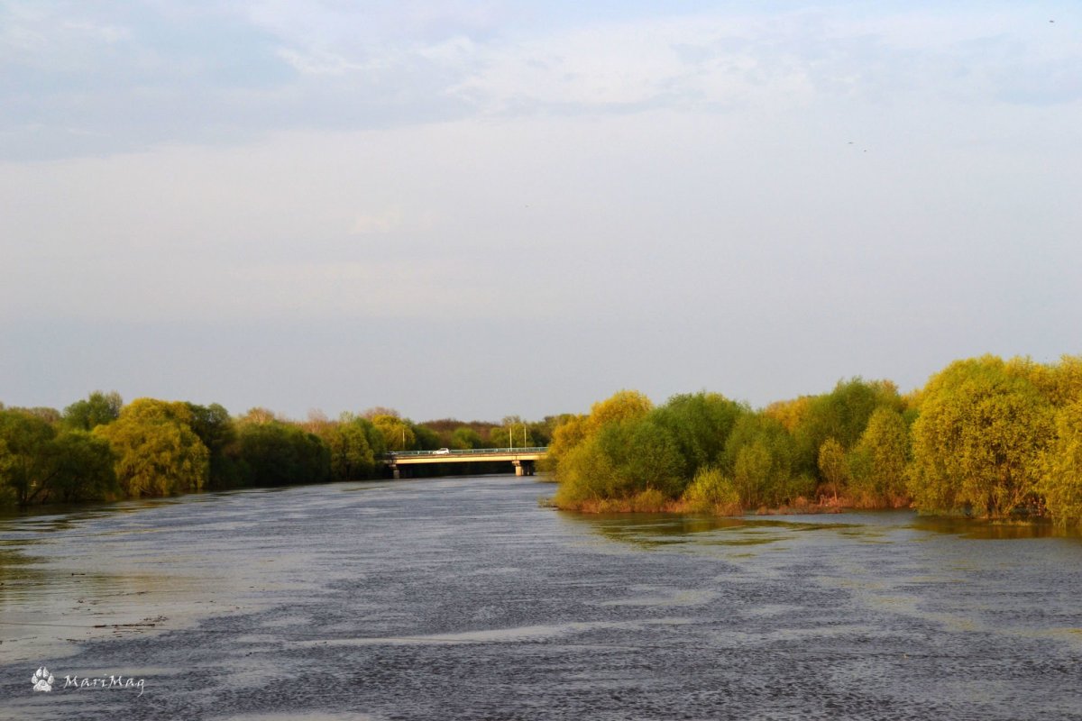 Река Хопер Балашов фото