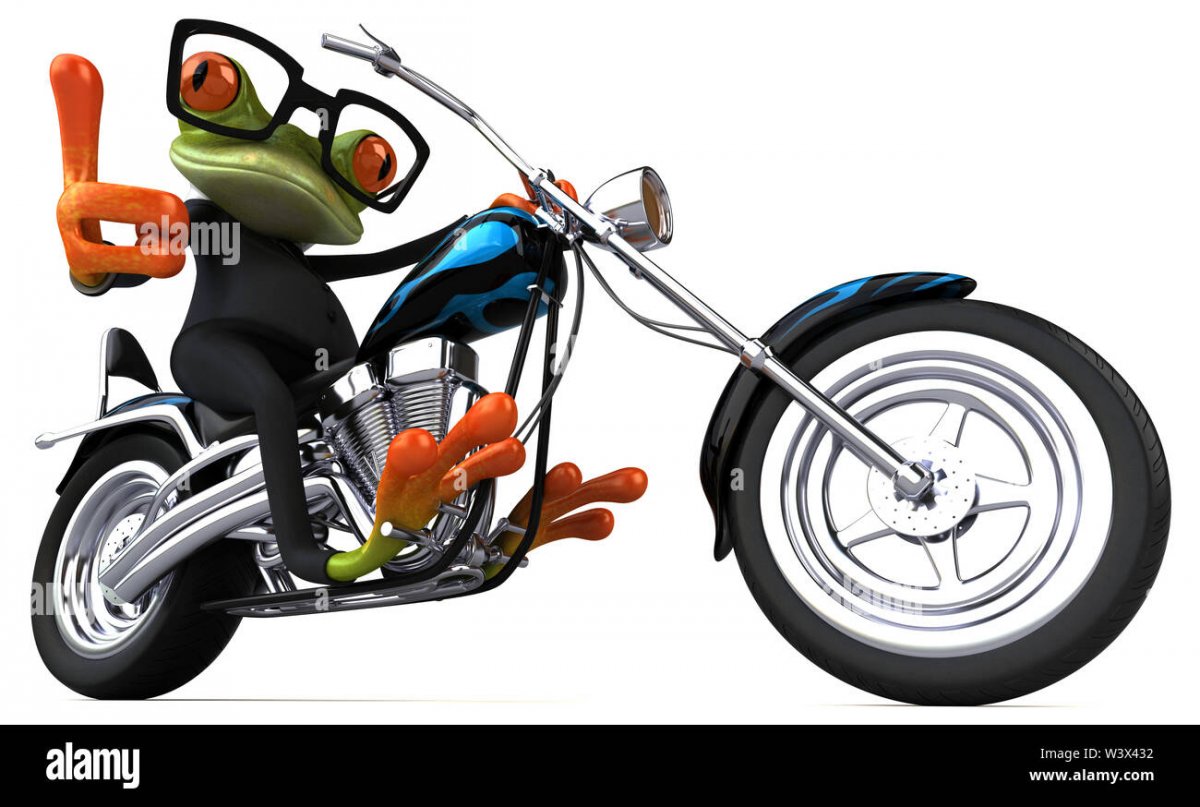 Лягушка в очках на мотоцикле