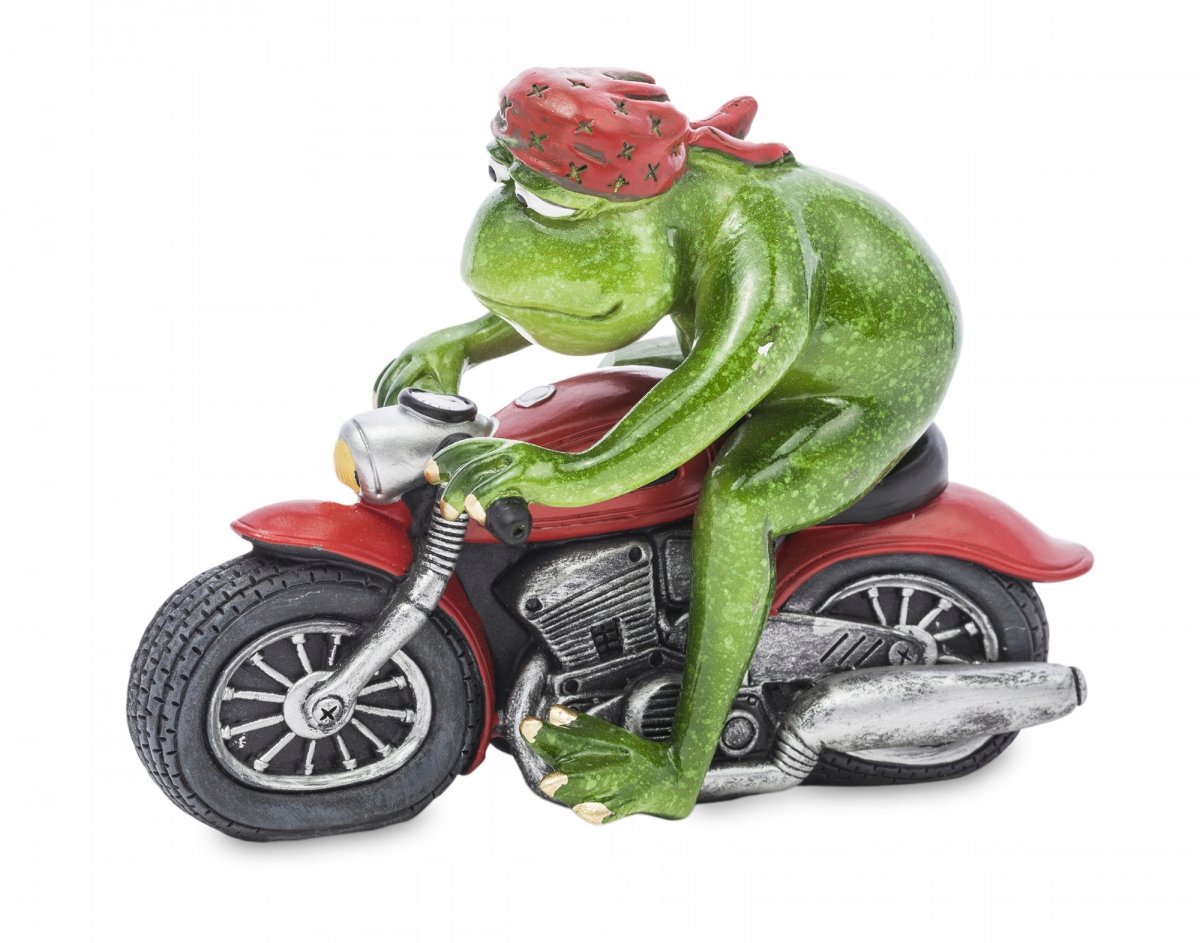 Лягушка на мотоцикле