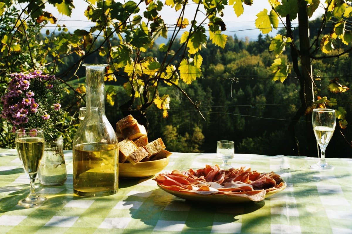 Пикник с вином на природе