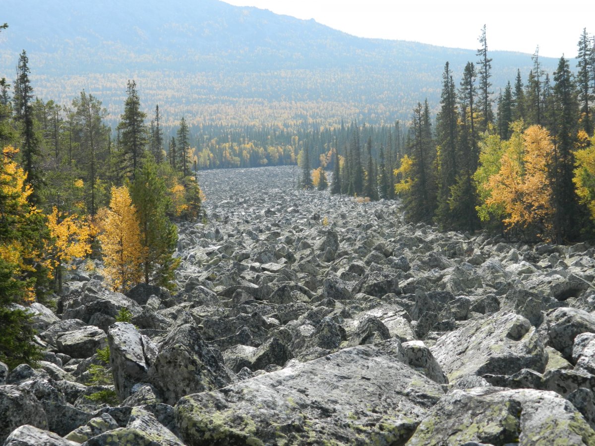 Горная речка с камнями с лесом Урал