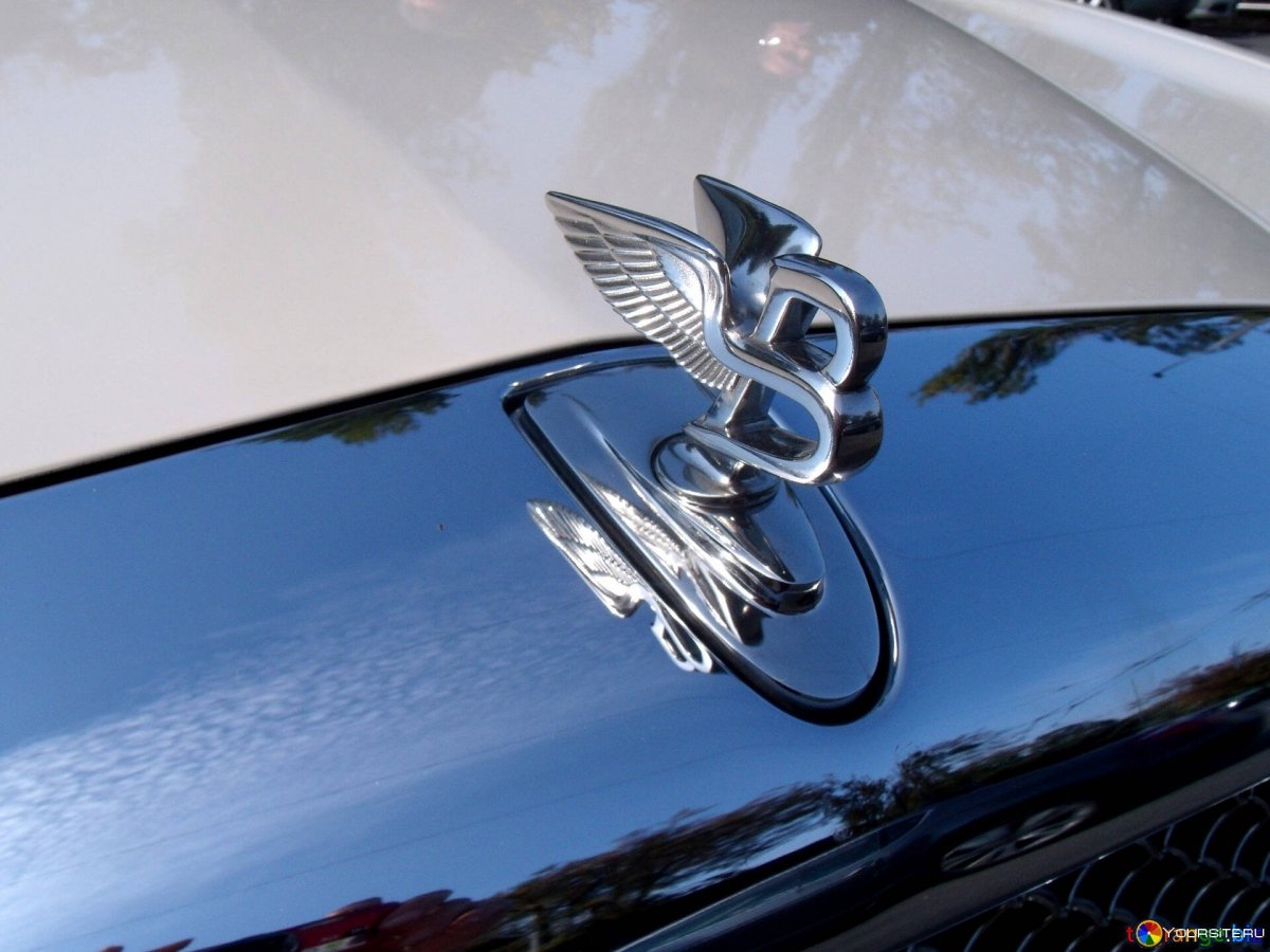 Автомобиль с логотипом птицы