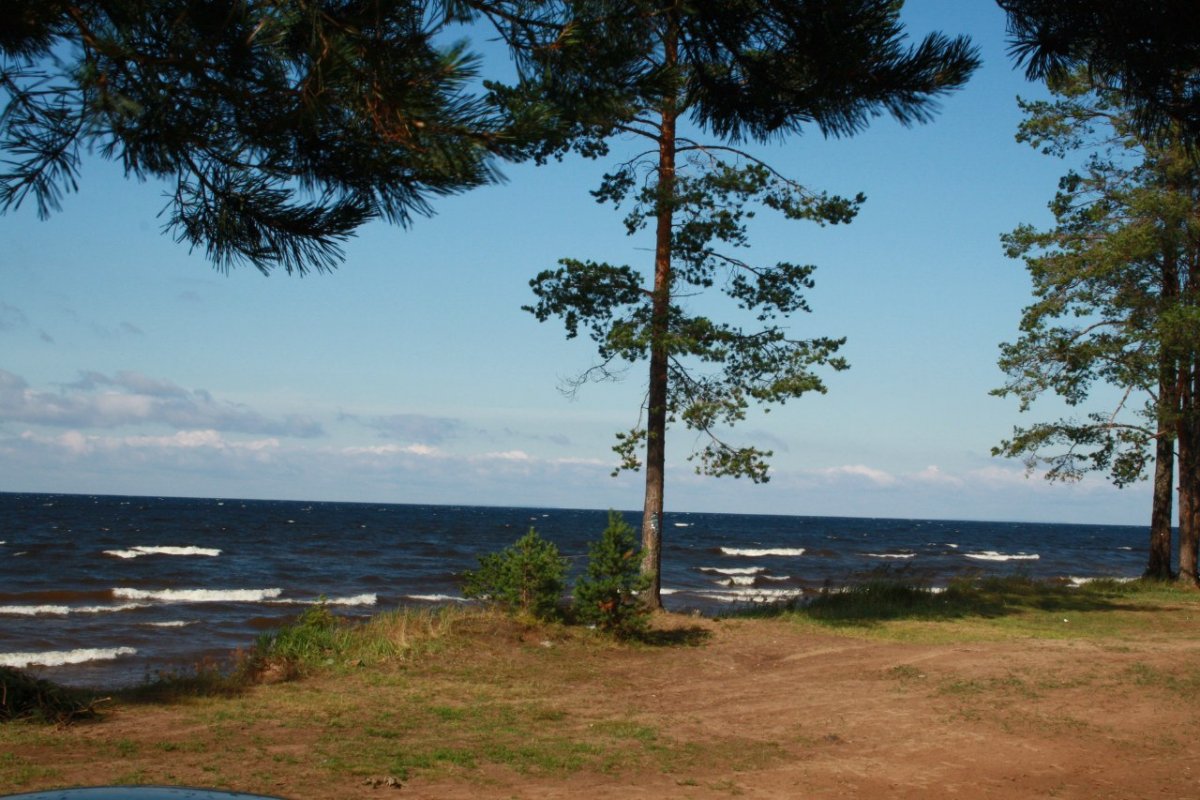 Ладога озеро Ленинградская область