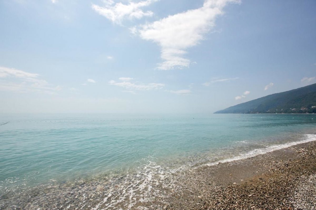 Море Абхазия Пицунда