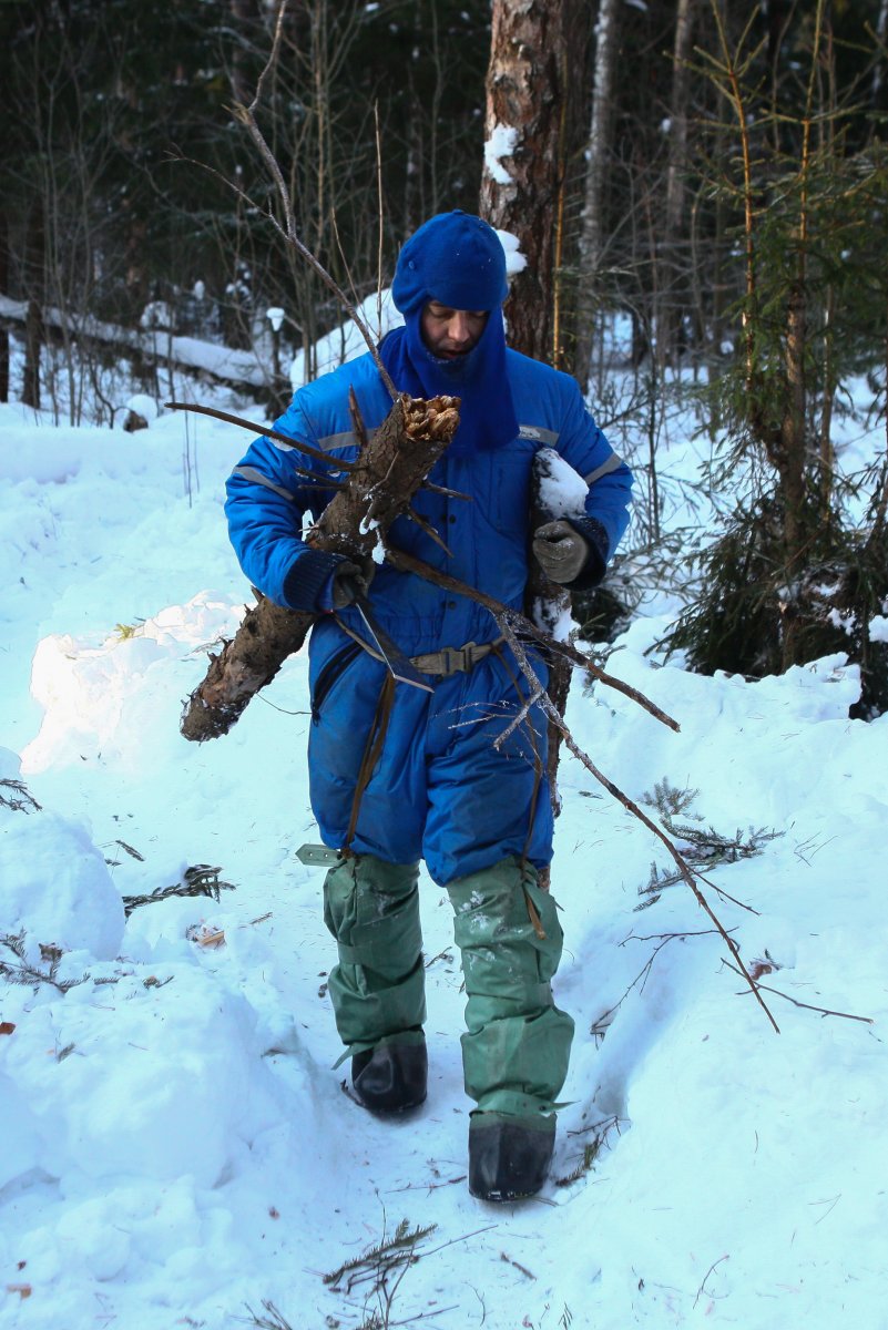 Выживание в зимнем лесу