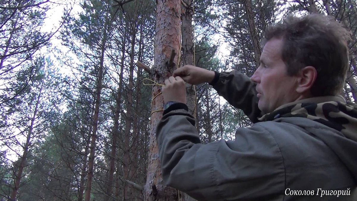 Григорий Соколов выживание в лесу