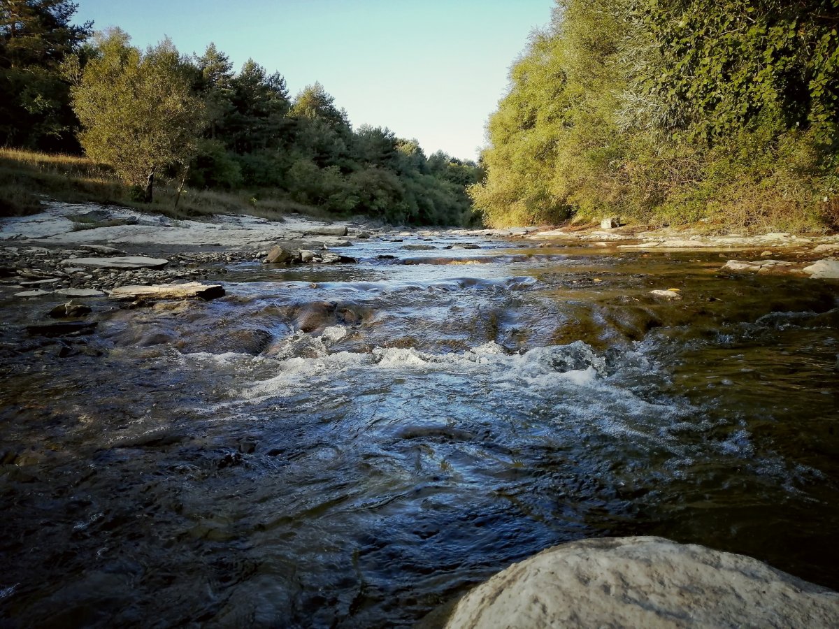 Река Подкумок