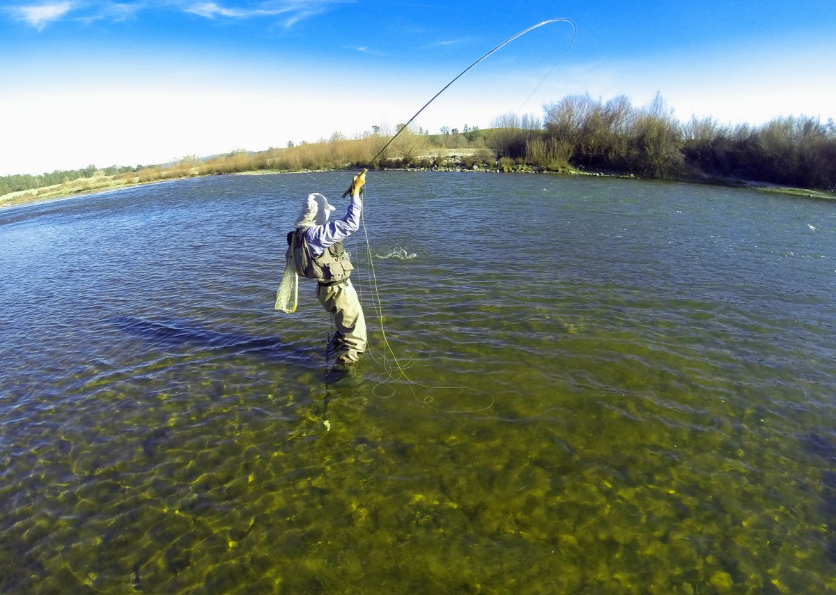Игра рыбалка на реке Ривер